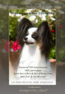 ad Papillon3 209x300 - Werbeanzeigen