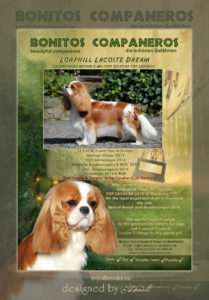 ad cavalier king charles 2 209x300 - Werbeanzeigen