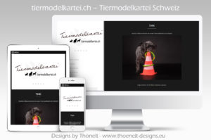 webseite tiermodelkartei 300x199 - Website-Layouts
