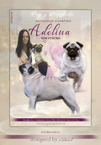 ad mops 209x300 - Webgrafiken