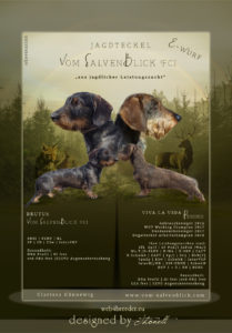 ad Jagdteckel 1 209x300 - Webgrafiken