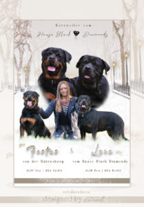 ad rottweiler 1 209x300 - Webgrafiken