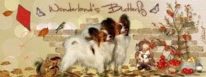 fb autuum 2016 300x112 - Webgrafiken