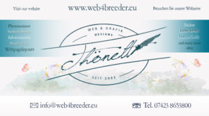 fb firma spring neu 300x167 - Webgrafiken