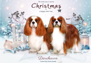 xmas 1 300x209 - Webgrafiken