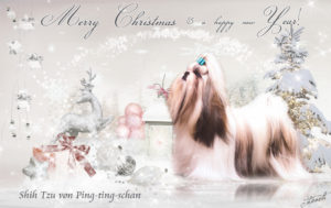 xmas 2 300x189 - Webgrafiken