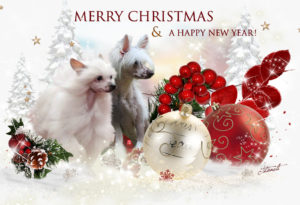 xmas 2016 300x205 - Webgrafiken