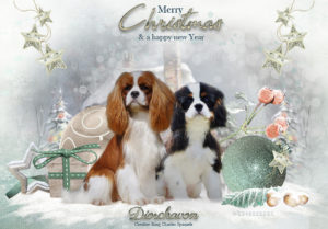 xmas 2018 300x209 - Webgrafiken