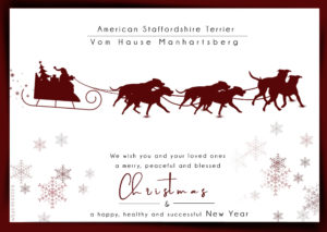 xmas 2018 am staff 300x213 - Webgrafiken