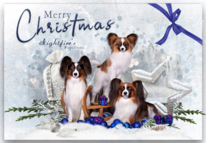 xmas 3 300x209 - Webgrafiken