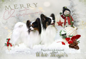 xmas 300x209 - Webgrafiken