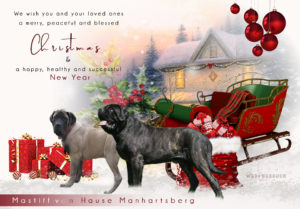 xmas mastiff 300x209 - Webgrafiken