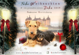 xmas terrier 300x209 - Webgrafiken