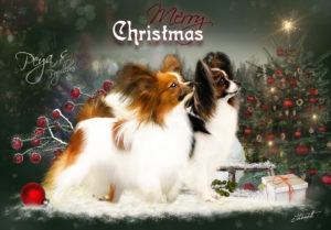 xmas2017 300x209 - Webgrafiken