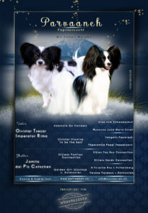 ad Papillon 8 209x300 - Webgrafiken
