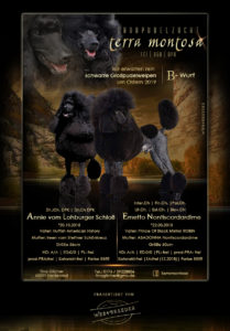 ad Pudel 209x300 - Webgrafiken