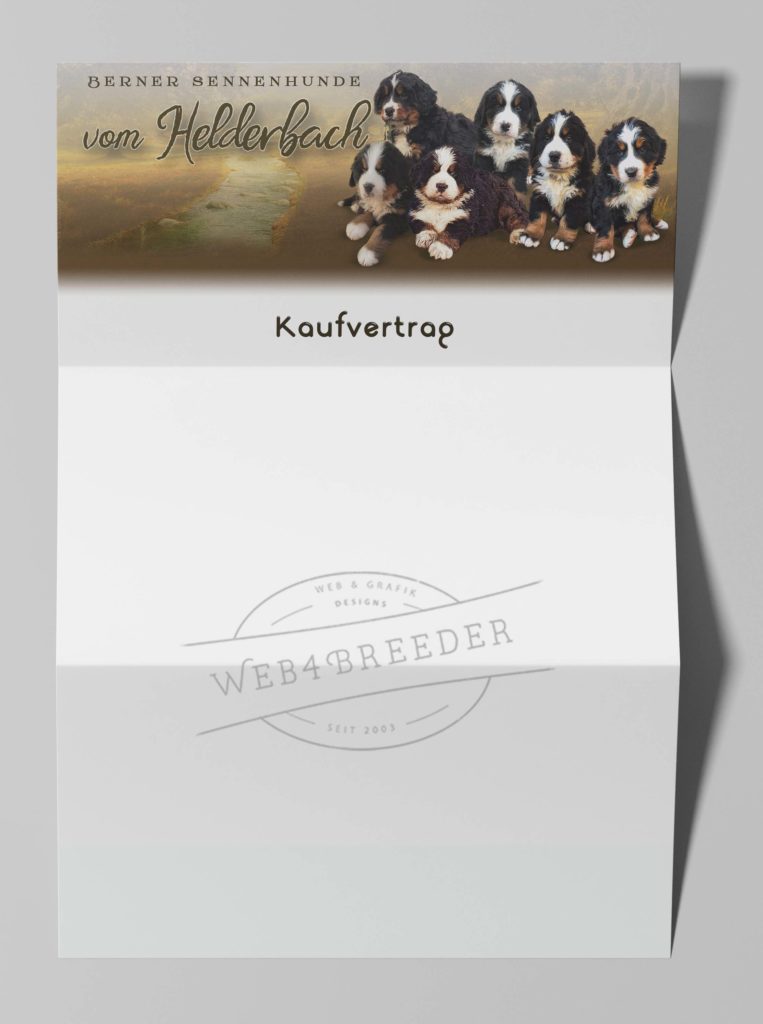 Letterhead Envelope Mockup 2 763x1024 - Printgrafiken