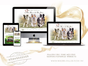 webseite border Collies 2020 300x225 - Website-Layouts