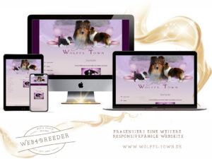 webseite sheltie zucht  300x225 - Website-Layouts