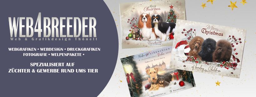 facebook 2025 Weihnachtskarten - Startseite