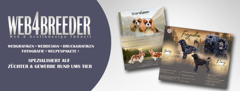 facebook 2025 wurfcollagen mit pedigree - Startseite