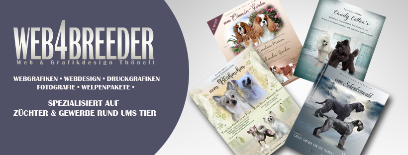 facebook 2025 wurfcollagen - Startseite